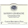 Magnum Savigny-les-Beaune Les Goudelettes 2020