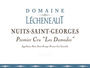 Nuits Saint Georges 1er cru Les Damodes 2021