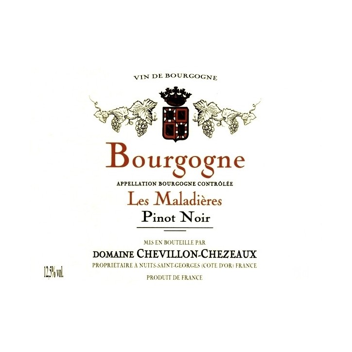 Magnum Bourgogne Pinot Noir Les Maladières 2022