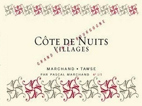 Côtes de Nuits Villages 2021