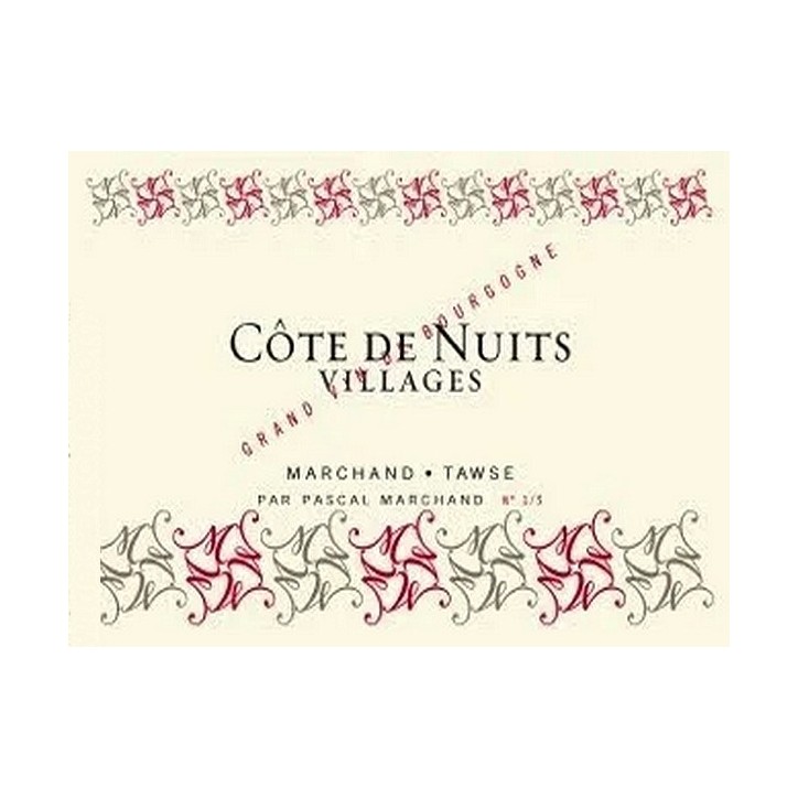 Côtes de Nuits Villages 2021