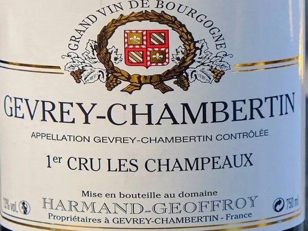 Gevrey-Chambertin 1er cru Champeaux 2020 HARMAND-GEOFFROY 2020