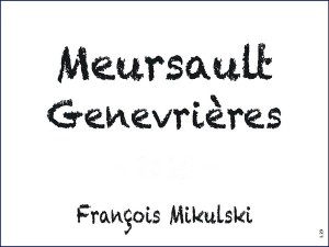 Meursault 1er cru Genevrières 2023 MIKULSKI François