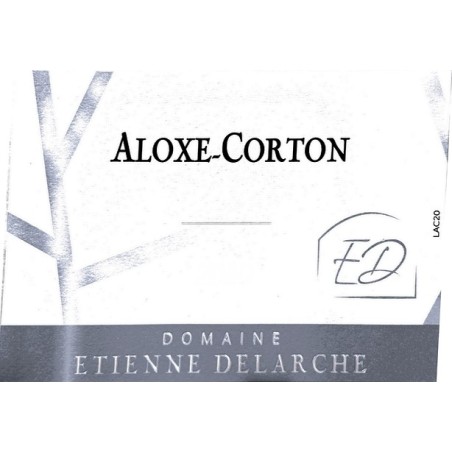 Magnum Aloxe-Corton 2022 DELARCHE Etienne