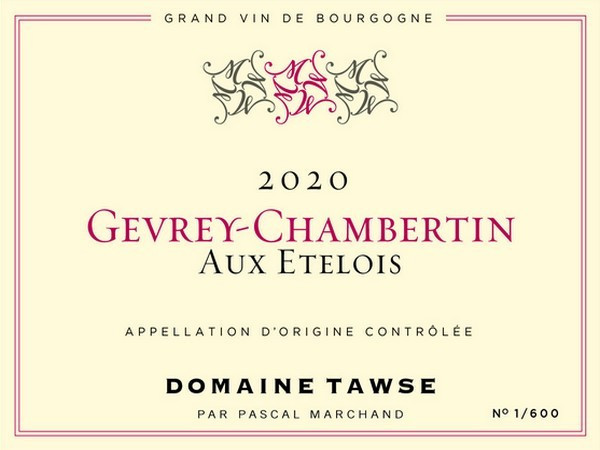 Gevrey-Chambertin Aux Etelois 2020 TAWSE Domaine