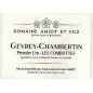 Magnum Gevrey-Chambertin 1er cru Les Combottes 2022 AMIOT Léon