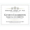 Gevrey-Chambertin 1er cru Aux Combottes 2022 AMIOT Léon
