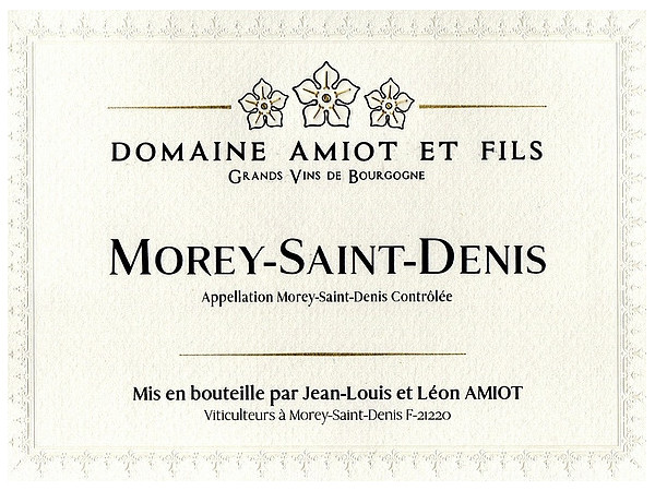 Magnum Morey-Saint-Denis 2022 AMIOT Léon