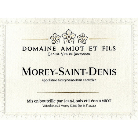 Magnum Morey-Saint-Denis 2022 AMIOT Léon