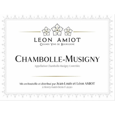 Chambolle-Musigny 2022 AMIOT Léon