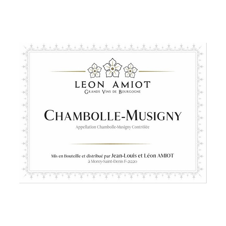 Chambolle-Musigny 2022 AMIOT Léon