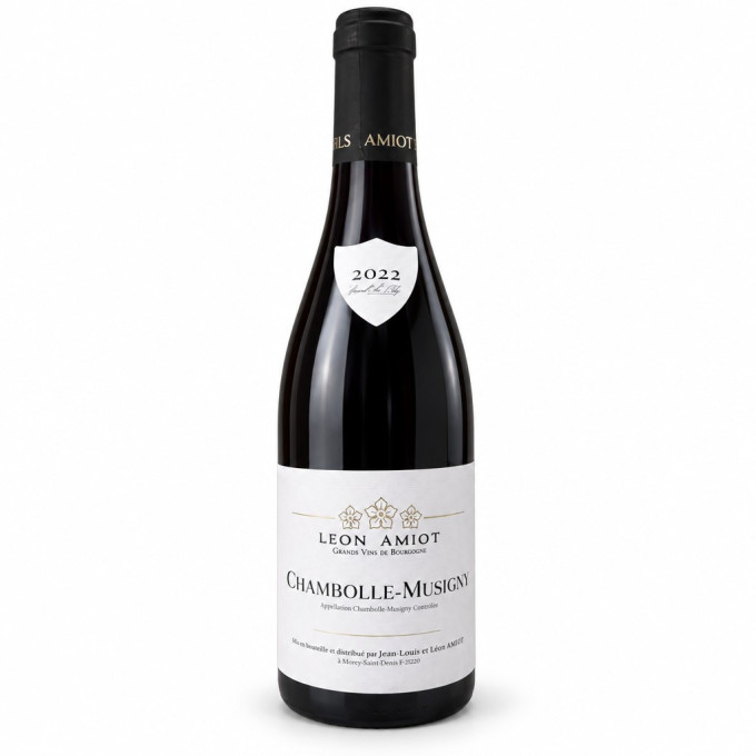 Chambolle-Musigny 2022 AMIOT Léon