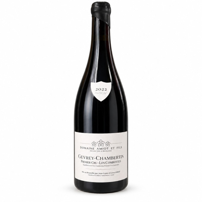 Magnum Gevrey-Chambertin 1er cru Les Combottes 2022 AMIOT Léon