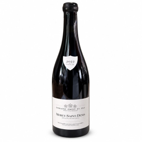 Magnum Morey-Saint-Denis 2022 AMIOT Léon