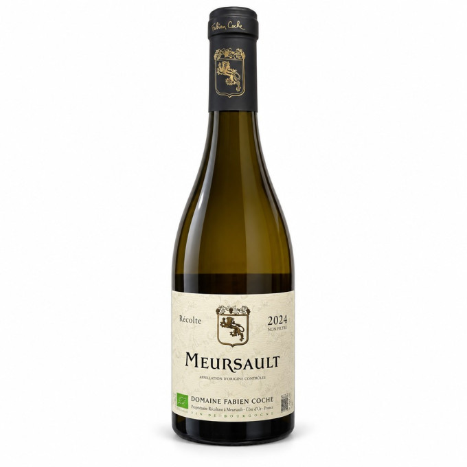 Meursault 2024 COCHE Fabien