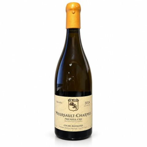 Magnum Meursault 1er cru Charmes 2024 COCHE Fabien
