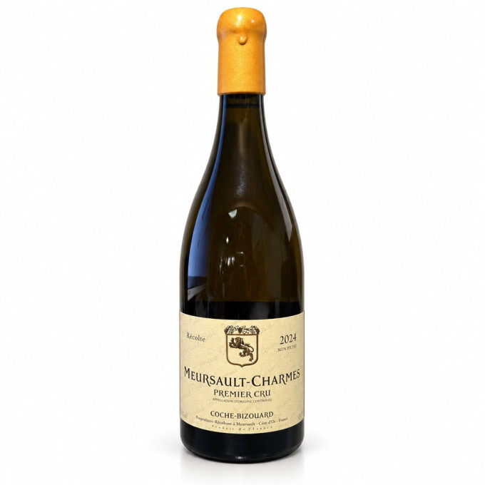 Magnum Meursault 1er cru Charmes 2024 COCHE Fabien