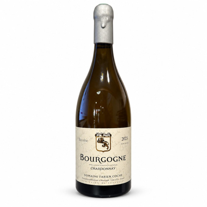 Magnum Bourgogne Chardonnay 2023 COCHE Fabien