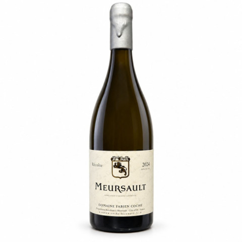 Magnum Meursault 2024 COCHE Fabien