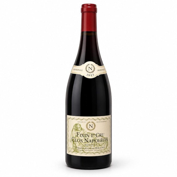 Magnum Fixin 1er cru 2023  GELIN Pierre