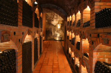 3 bonnes raisons de mettre un vin de Benjamin Leroux en garde